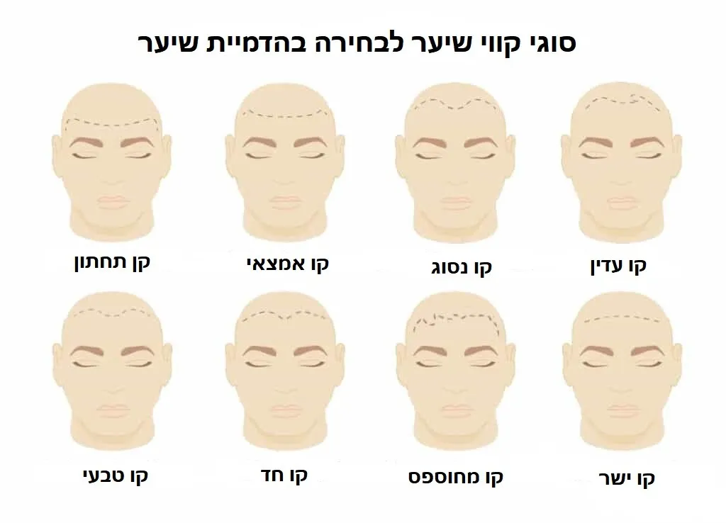 סגנון קו לשיער בהדמיית שיער
